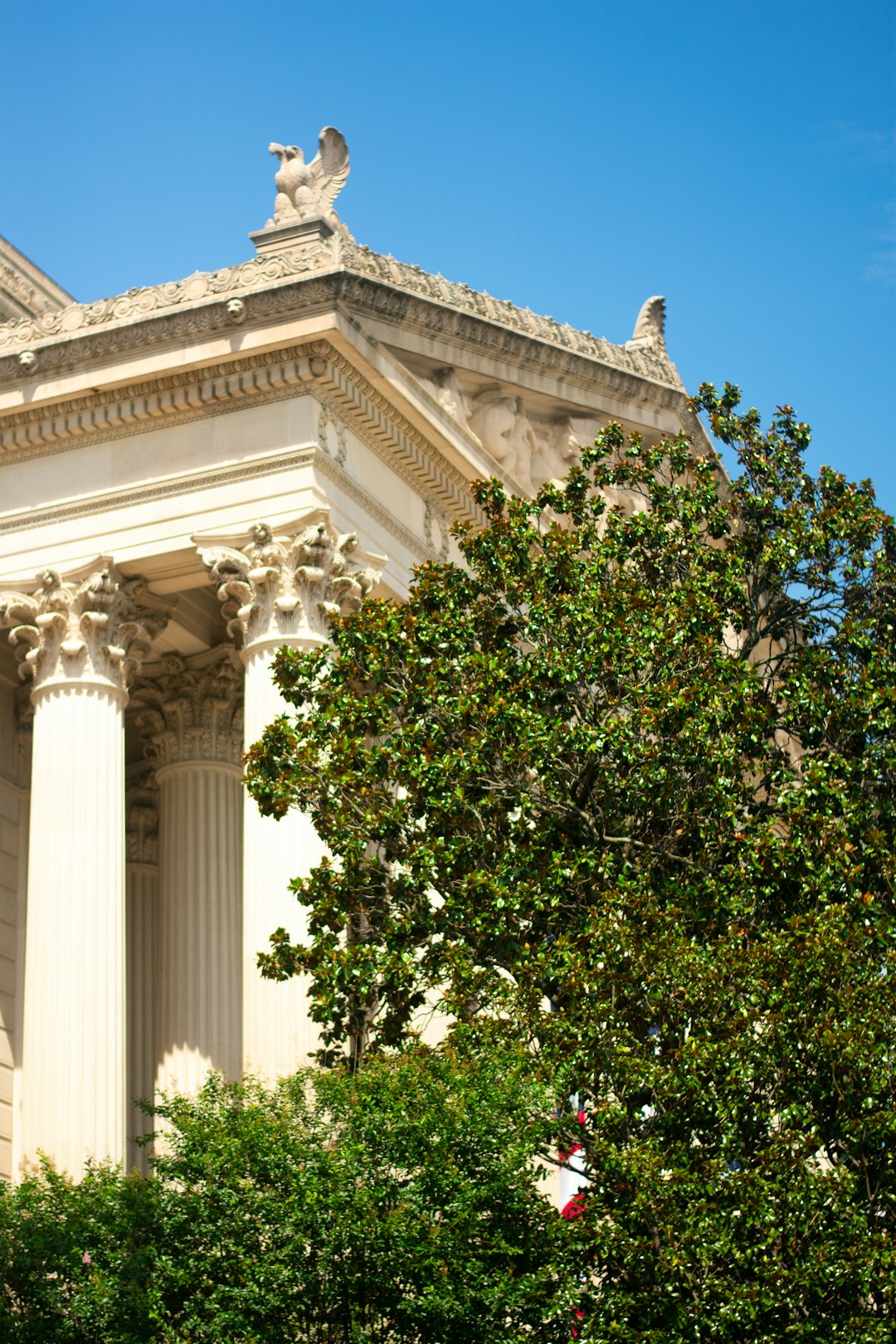 Houston to Washington DC